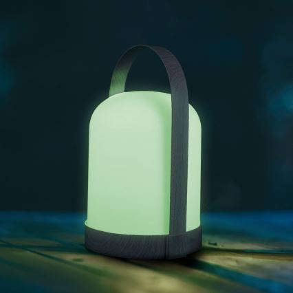LED RGBW Dekorativna namizna svetilka MINORKA LED/0,3W/4,5V 3xAA