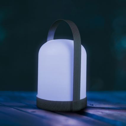 LED RGBW Dekorativna namizna svetilka MINORKA LED/0,3W/4,5V 3xAA