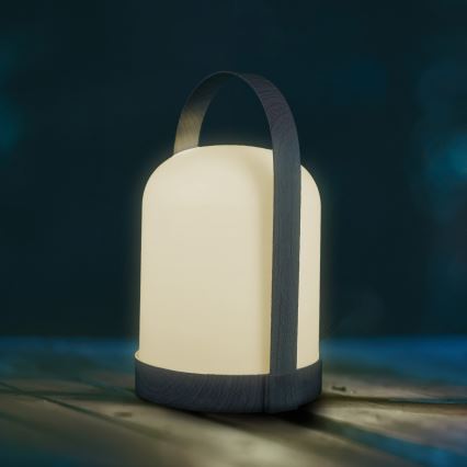 LED RGBW Dekorativna namizna svetilka MINORKA LED/0,3W/4,5V 3xAA