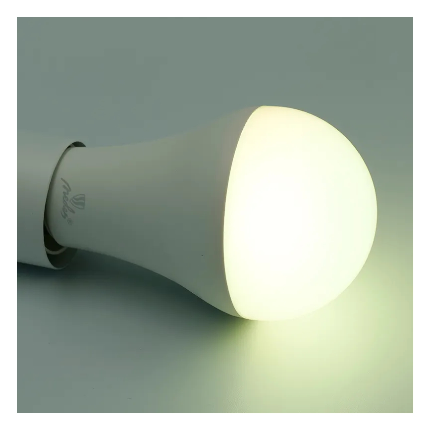 LED RGBW Zatemnitvena žarnica A60 E27/15W/230V 2700-6500K Wi-Fi Tuya