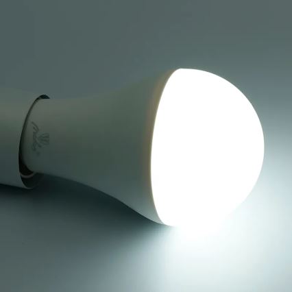 LED RGBW Zatemnitvena žarnica A60 E27/15W/230V 2700-6500K Wi-Fi Tuya