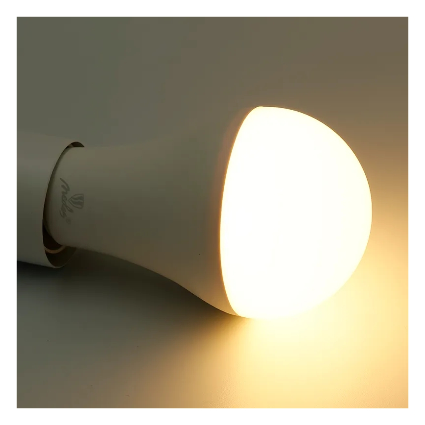 LED RGBW Zatemnitvena žarnica A60 E27/15W/230V 2700-6500K Wi-Fi Tuya