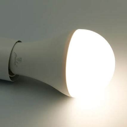 LED RGBW Zatemnitvena žarnica A60 E27/15W/230V 2700-6500K Wi-Fi Tuya