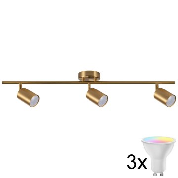 LED RGBW zatemnljivo točkovno svetilo GOLDIE 3xGU10/4,8W/230V 3000K zlato + daljinski upravljalnik
