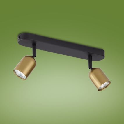 LED RGBW zatemnljivo točkovno svetilo TOP 2xGU10/6,5W/230V 2700-6500K zlata/črna