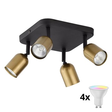 LED RGBW Zatemnljivo točkovno svetilo TOP 4xGU10/6,5W/230V 2700-6500K zlata/črna