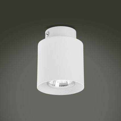 LED RGBW zatemnljivo točkovno svetilo VICO WHITE 1xGU10/6,5W/230V 2700-6500K