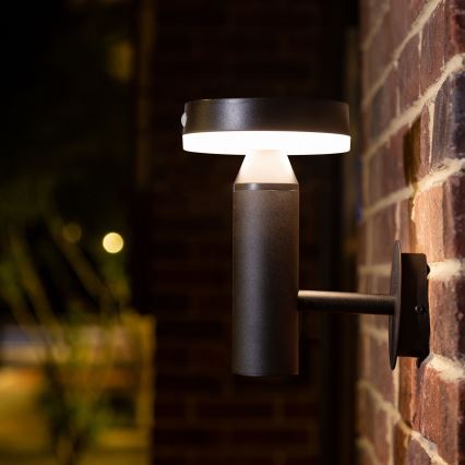 LED Solarna stenska svetilka s senzorjem GWINEA LED/4,5W/3,7V IP44 črna