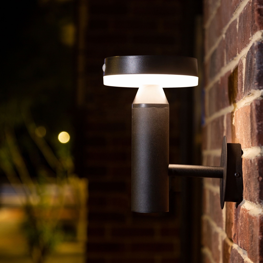 LED Solarna stenska svetilka s senzorjem GWINEA LED/4,5W/3,7V IP44 črna
