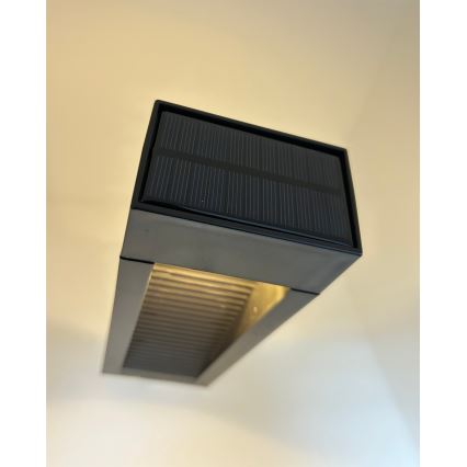 LED solarna svetilka 2xLED/1,2V 200 mAh IP44 črna
