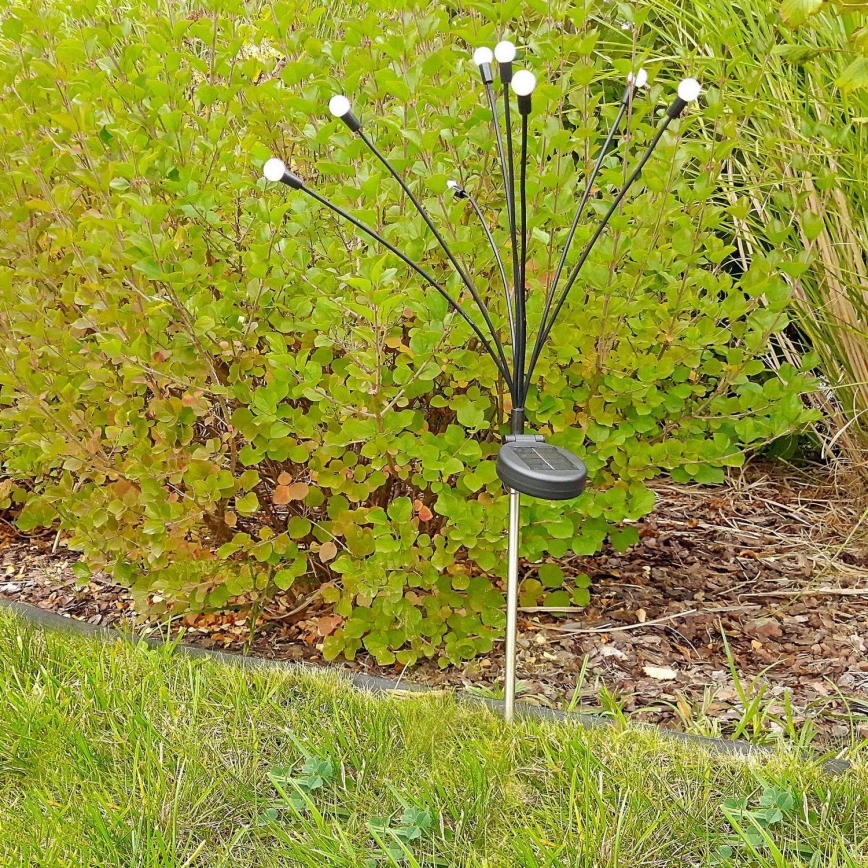LED Solarna svetilka FIORINI 8xLED/1,2V 600 mAh IP44 črna