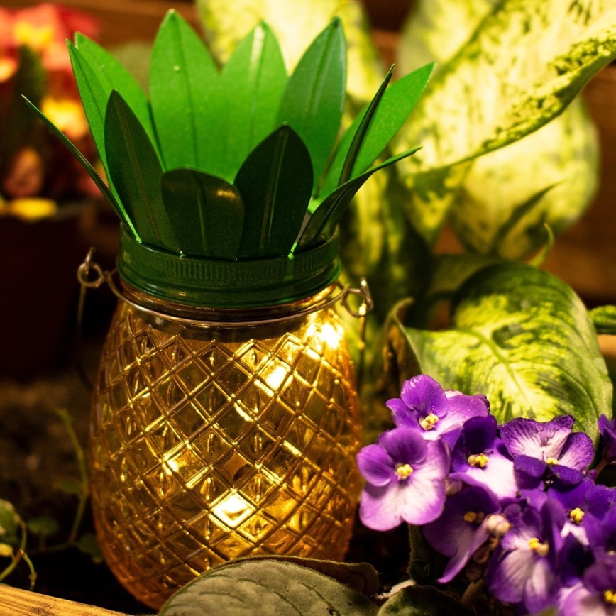 LED Solarna svetilka JAR LED/1,2V IP44 ananas