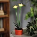 LED solarna svetilka LED/1,2V 200 mAh IP44 cvet
