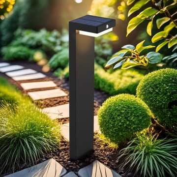 LED Solarna svetilka s senzorjem gibanja in mraka PALERMO LED/5W/2000 mAh IP54 črna