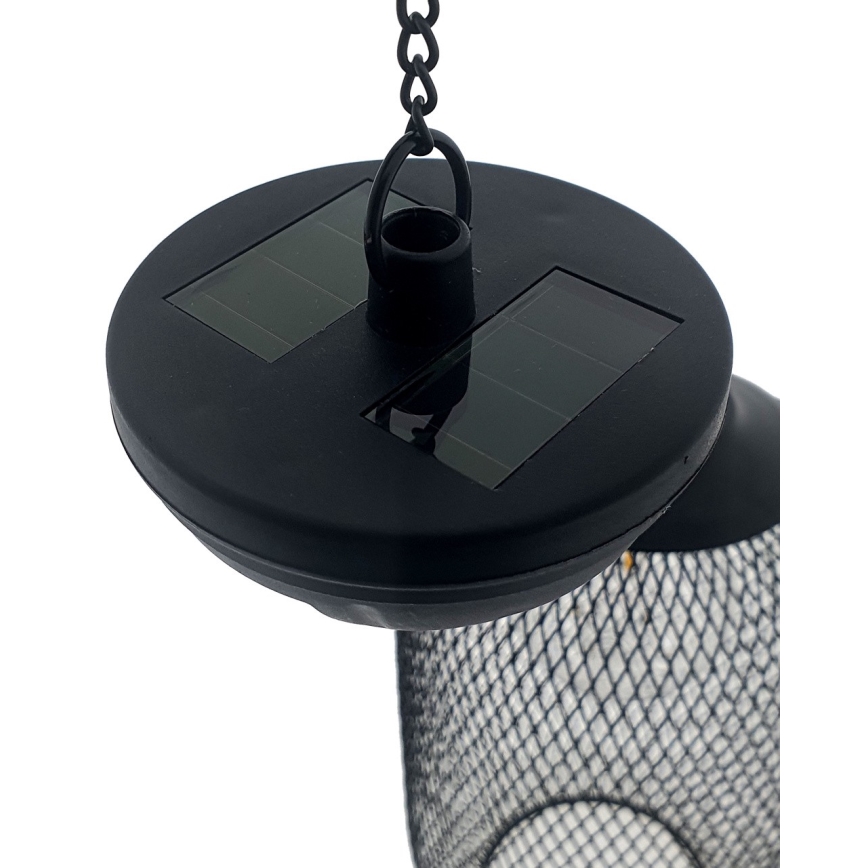 LED Solarni lestenec na vrvici MEGGY 1,2V 200 mAh IP44
