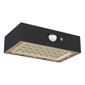 LED Solarni reflektor s senzorjem gibanja LED/3,7V 1200mAh 4000K IP65 črna