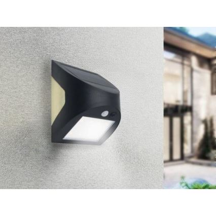 LED solarno stensko svetilo s senzorjem LED/3W/3,7V 3000/4000K 1200 mAh IP54 črna