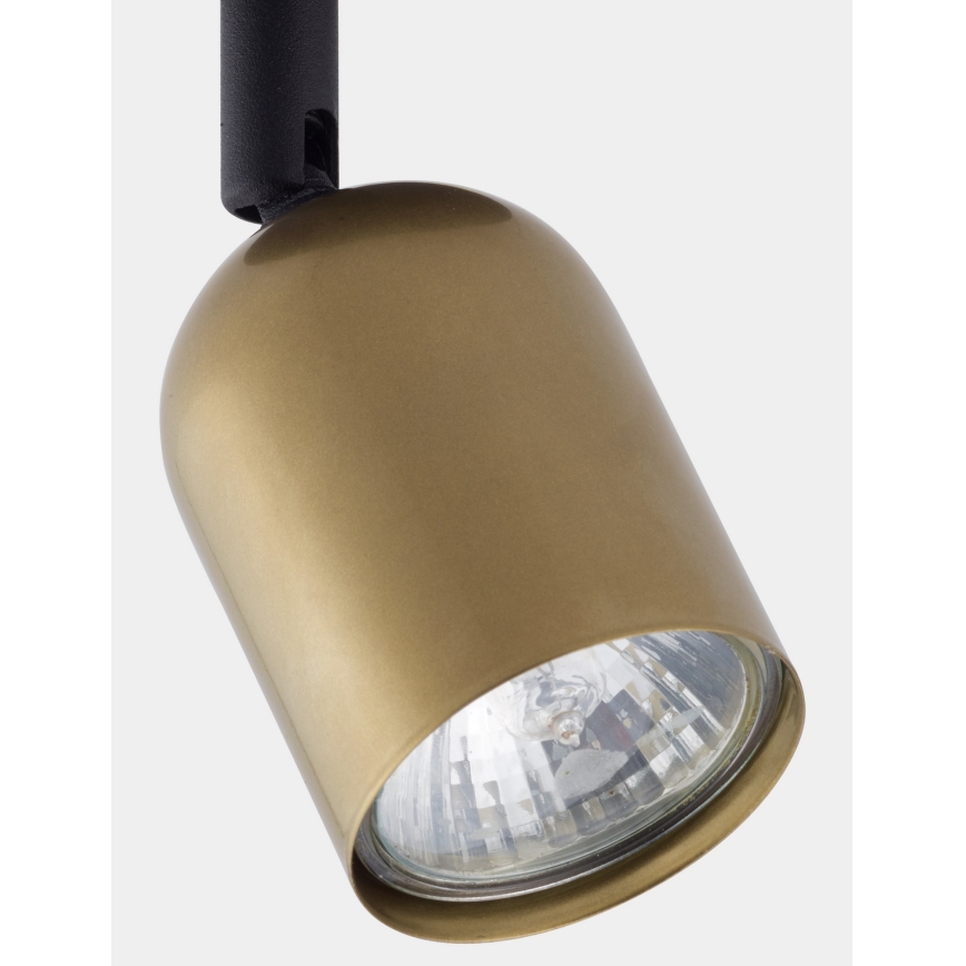 LED spot svetilka TOP 1xGU10/10W/230V zlata/črna