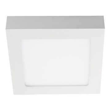 LED stenska svetilka 1xLED/18W/230V bela/topla bela