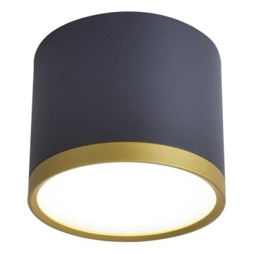LED Stenska svetilka TUBA LED/9W/230V črna/zlata