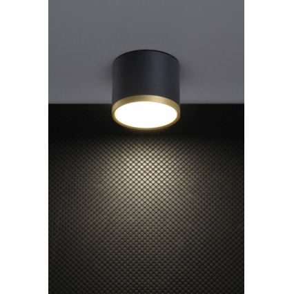 LED Stenska svetilka TUBA LED/9W/230V črna/zlata