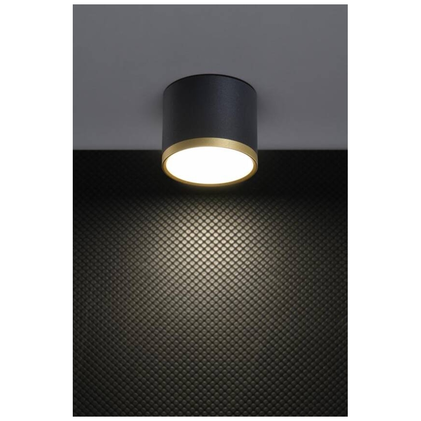 LED Stenska svetilka TUBA LED/9W/230V črna/zlata