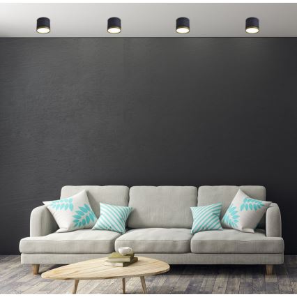 LED Stenska svetilka TUBA LED/9W/230V črna/zlata