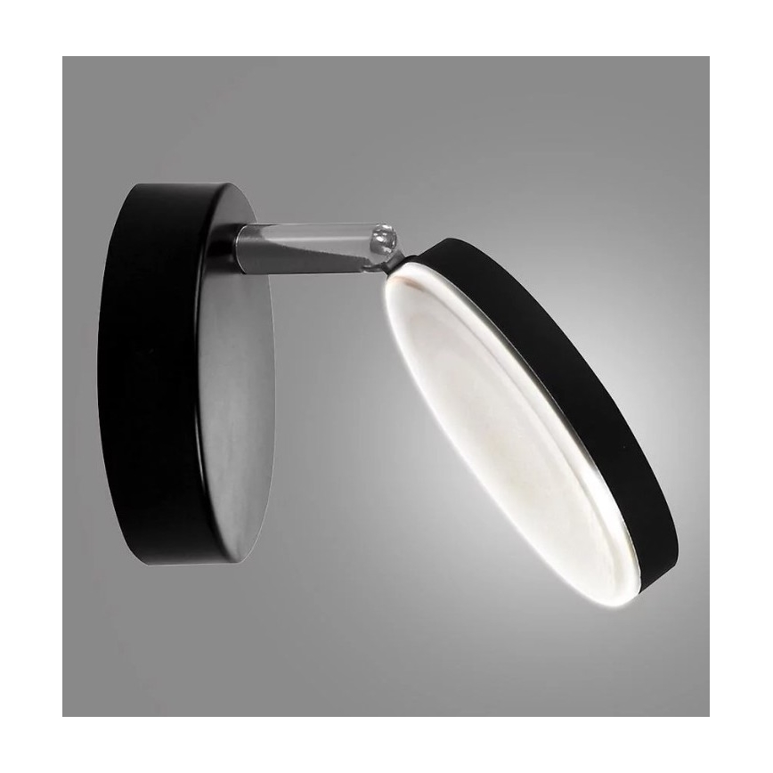 LED Stenski reflektor CAPRI LED/5W/230V