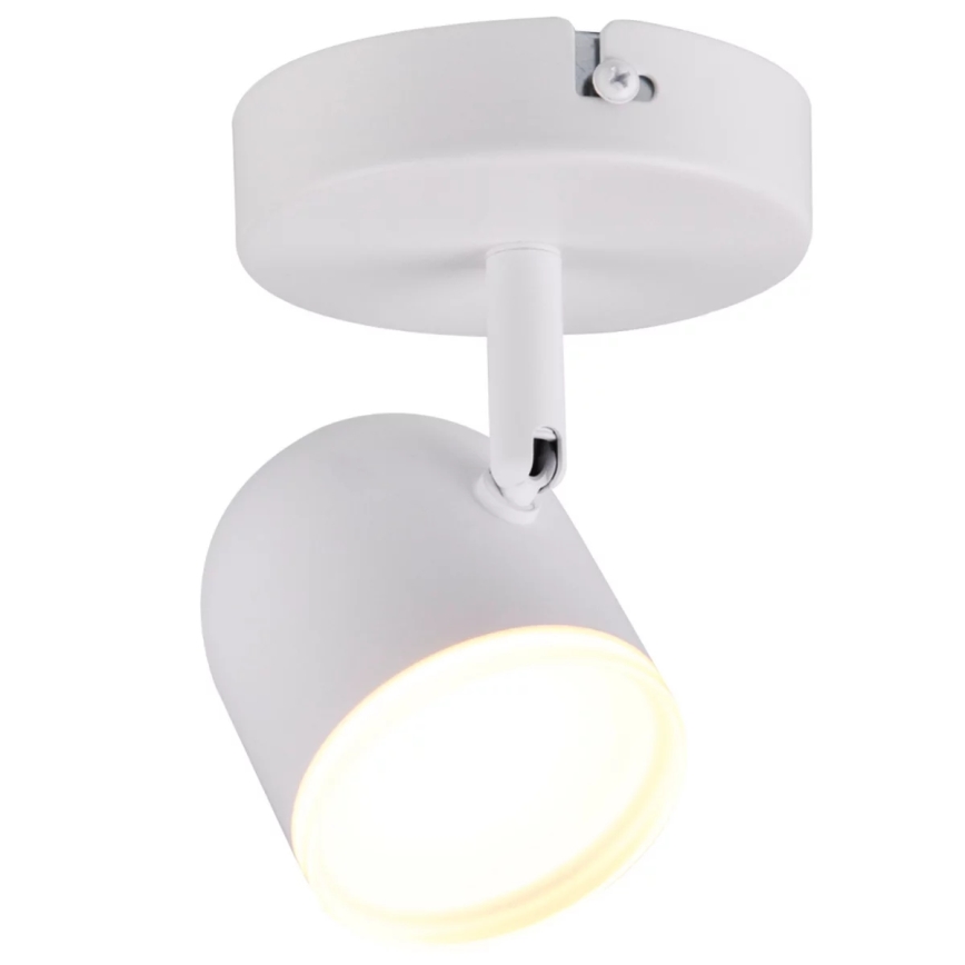 LED Stenski reflektor RAWI LED/4,2W/230V bel
