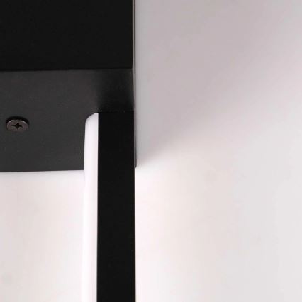 LED stensko svetilo AISHA LED/12W/230V 4000K črno