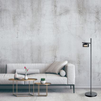 LED stoječa svetilka OFELIA 1xGX53/6W/230V črna/zadimljena
