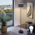 LED stoječa svetilka TUNJA 1xE27/20W/230V premer 30 cm črna/rjava