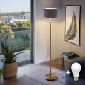 LED stoječa svetilka TUNJA 1xE27/20W/230V, premer 30 cm, zlata/rjava