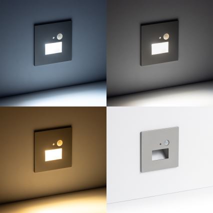 LED Stopniščna luč s senzorjem gibanja LED/1,5W/230V 3000K/4000K/6500K