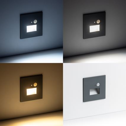 LED Stopniščna svetilka s senzorjem gibanja LED/1,5W/230V 3000K/4000K/6500K