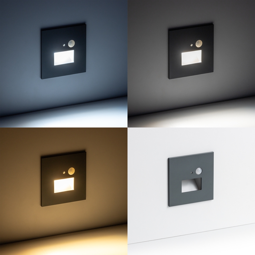 LED Stopniščna svetilka s senzorjem gibanja LED/1,5W/230V 3000K/4000K/6500K