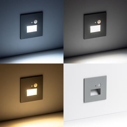 LED Stopniščna svetilka s senzorjem gibanja LED/1,5W/230V 3000K/4000K/6500K