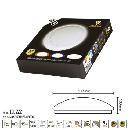 LED Stropna nadgradna svetilka LED/18W/230V