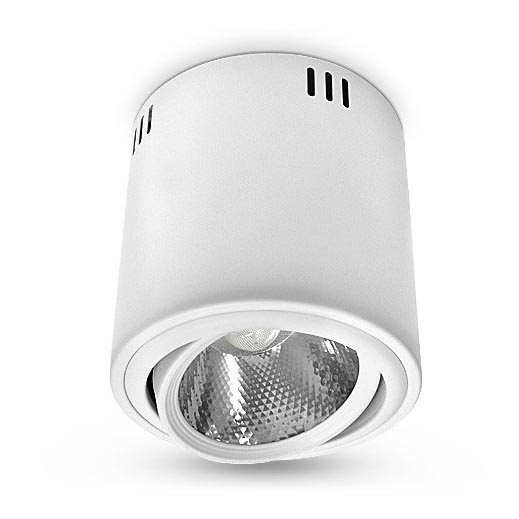 LED Stropna svetilka 1xLED/18W/230V