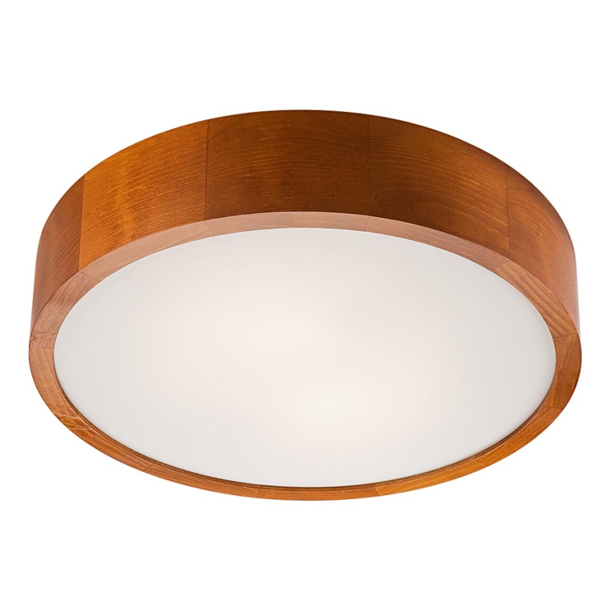 LED Stropna svetilka 1xLED/24W/230V bor