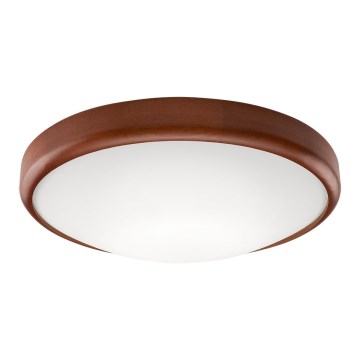 LED stropna svetilka 1xLED/24W/230V