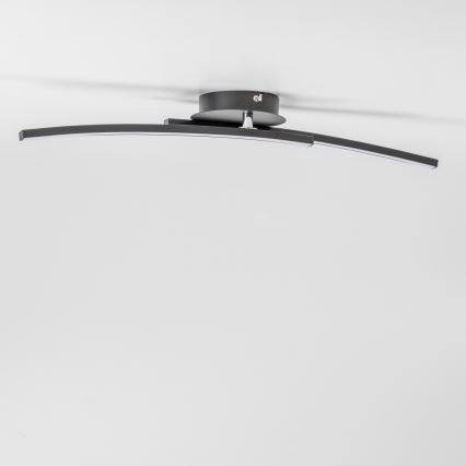 LED stropna svetilka 2xLED/6W/230V črna