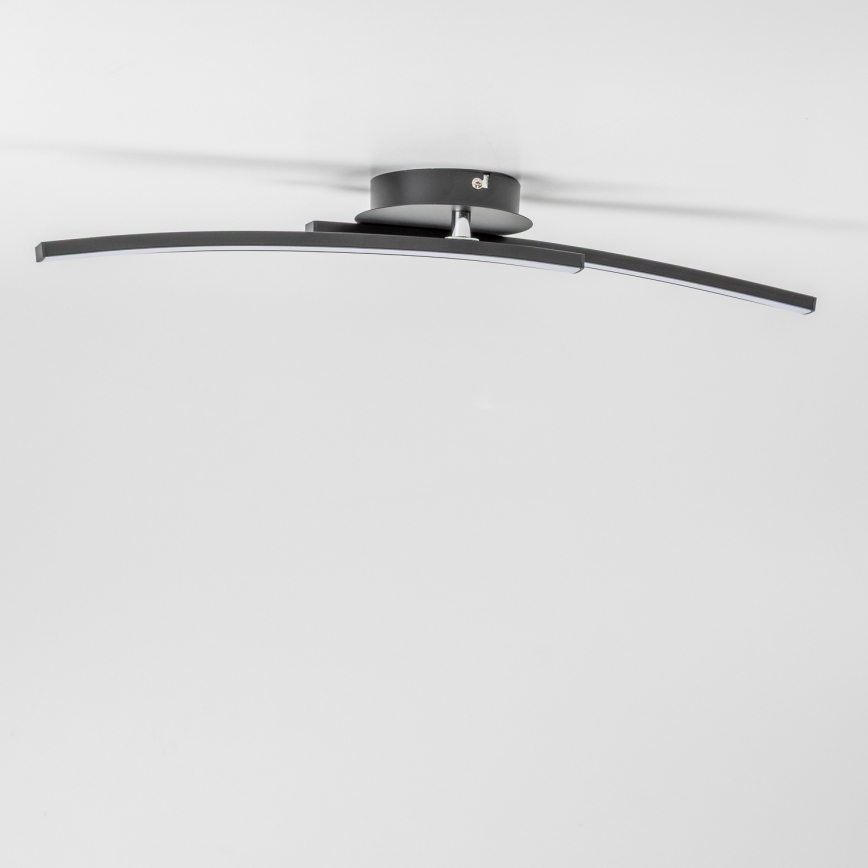 LED stropna svetilka 2xLED/6W/230V črna