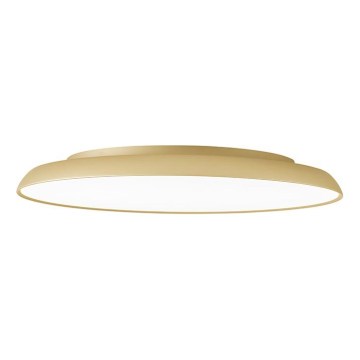 LED stropna svetilka ART LED/40W/230V zlata