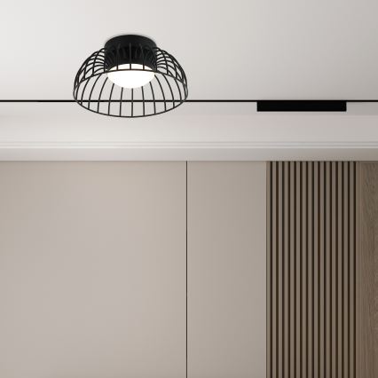 LED stropna svetilka BETSY, 12 W, 230 V, premer 25 cm, črna