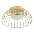 LED Stropna svetilka BETSY LED/12W/230V premer 25 cm zlata