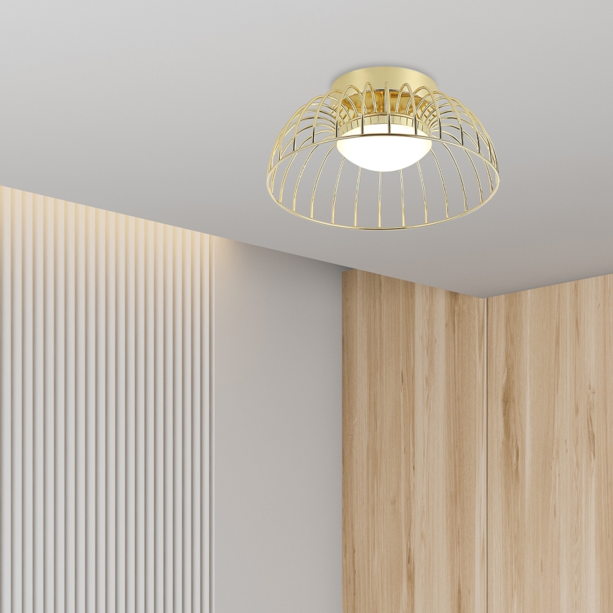 LED stropna svetilka BETSY LED/12W/230V premer 25 cm zlata