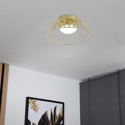 LED stropna svetilka BETSY LED/12W/230V premer 25 cm zlata