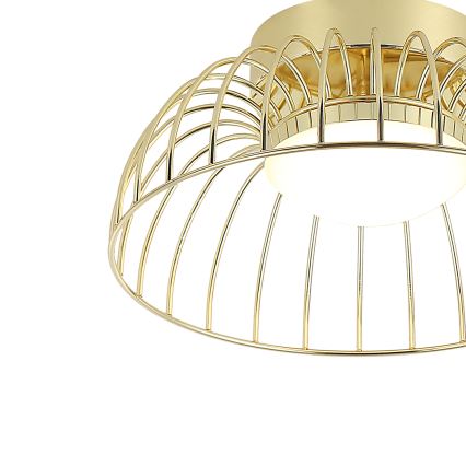 LED stropna svetilka BETSY LED/12W/230V premer 25 cm zlata