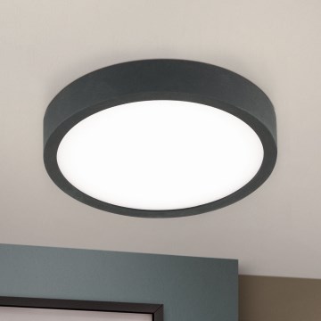 LED Stropna svetilka BULLY LED/12W/230V pr. 14 cm črna